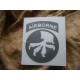 pochoir us airborne 17 th 
